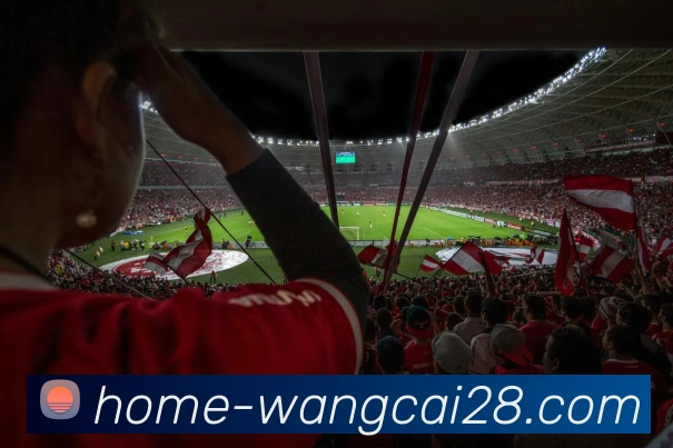 旺财28发展历程